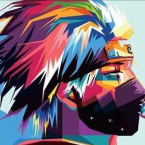 Meet your Posher, Kylor